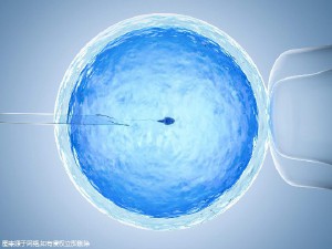青碧生殖医学中心